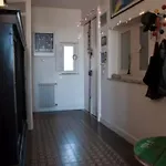 Mi Casa, 3 Bedrooms,2 Bathr And Terrace