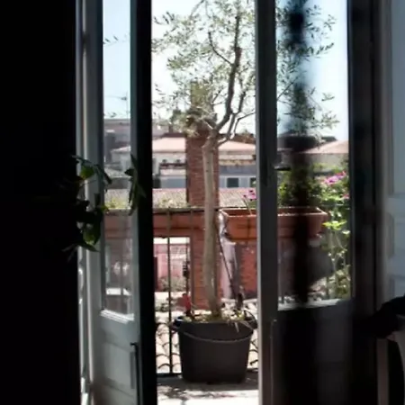 Mi Casa, 3 Bedrooms,2 Bathr And Terrace *